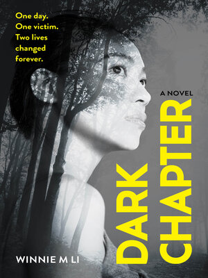 cover image of Dark Chapter